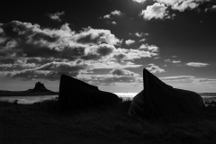 Boat Sheds and Castle - Bill Swan