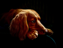 Peggy
