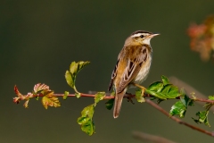 Stuart-W-Monday-12th-July-Images-9-of-9