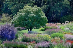 Summer-Splendour-m-19-21