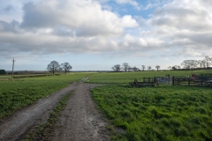 Grid-16-Helen-Taylor