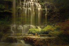 Scaleber Force - Ian Suffield