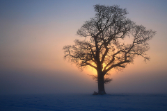 On-a-Cold-Morning