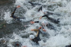 Splish-splash-dash-272