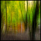 Movement