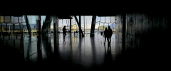 Silhouettes