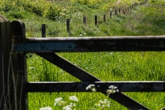 A-view-Over-The-Gate