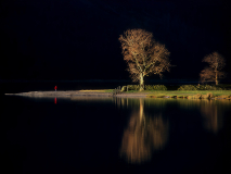 Buttermere-Ash