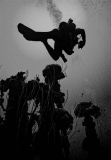 Bikini-Atoll-Periscopes