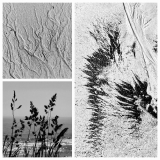 Coastal-patterns-38-23-