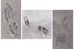 Footprints-in-the-Sand-m3-2023-24-copy