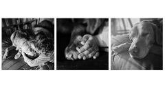 Goodbye-Rosco-m23-23-PRINT