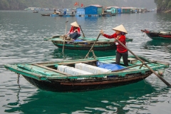 Water-Community-of-Ha-Long-Bay-Vietnam