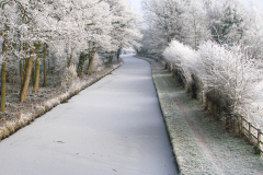 Frozen-Trent-and-Mersey-4-24