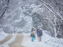 Getting-out-whatever-the-weather2