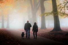 walking-in-the-autumn-mist-254